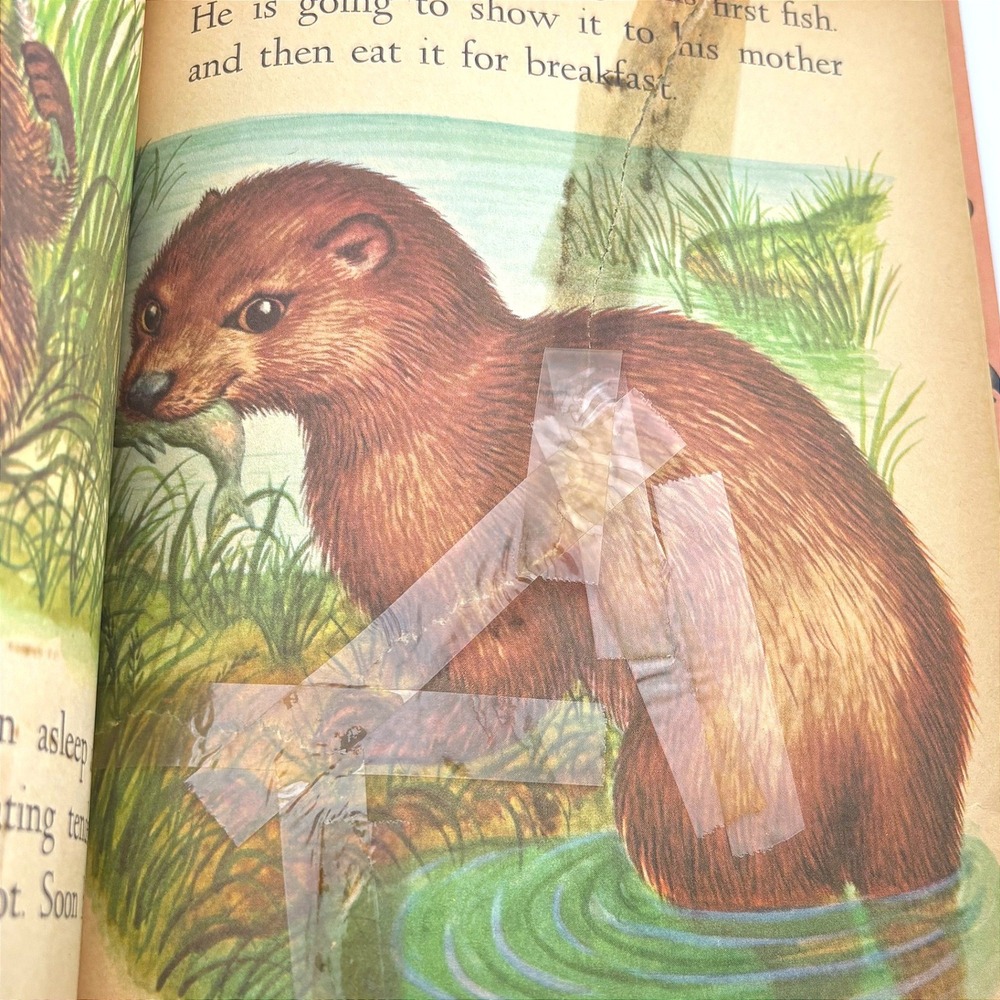 Vintage Childrens Books Lot Baby Animals Little Golden Whiffles Whitman 1950-60s - Picture 8 of 9